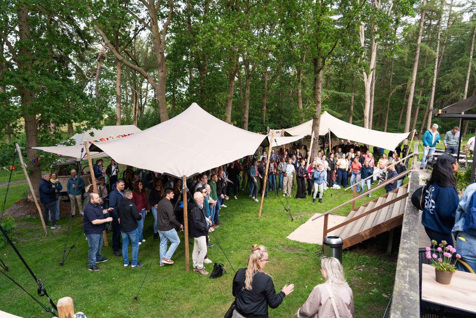nieuw allardsoog-klein-09998